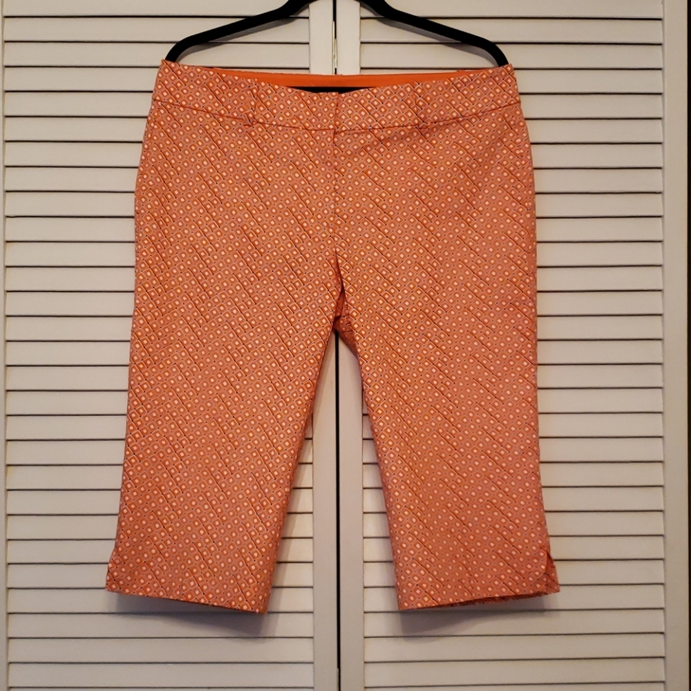 Ann Taylor Pants